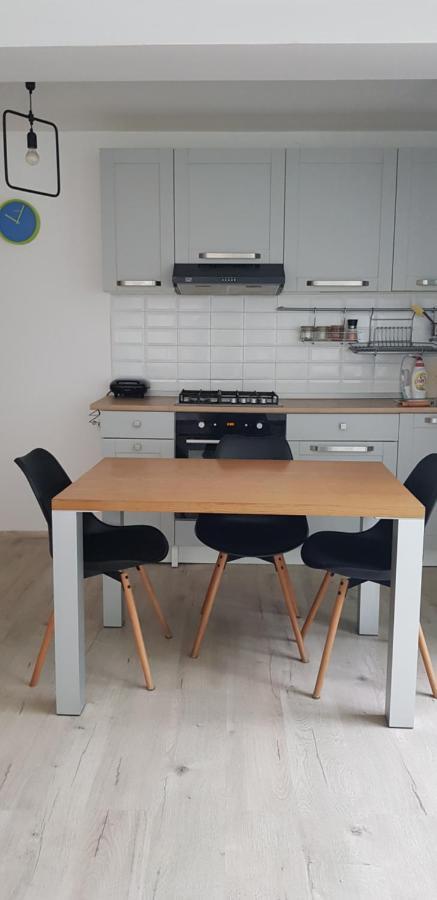 Casa Zorilor Cluj 아파트 외부 사진