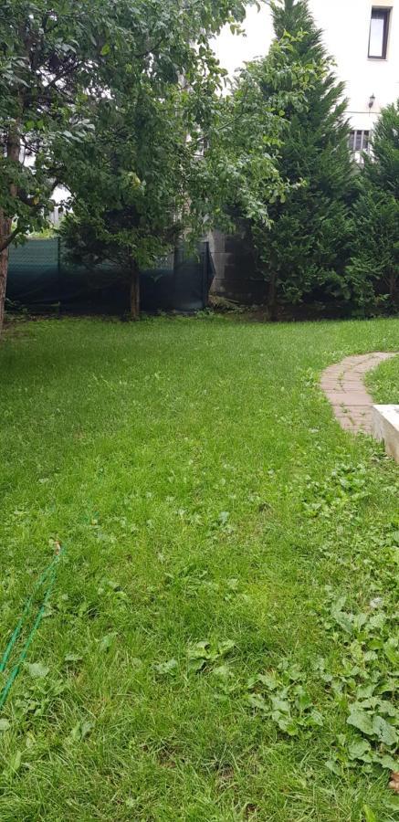 Casa Zorilor Cluj 아파트 외부 사진
