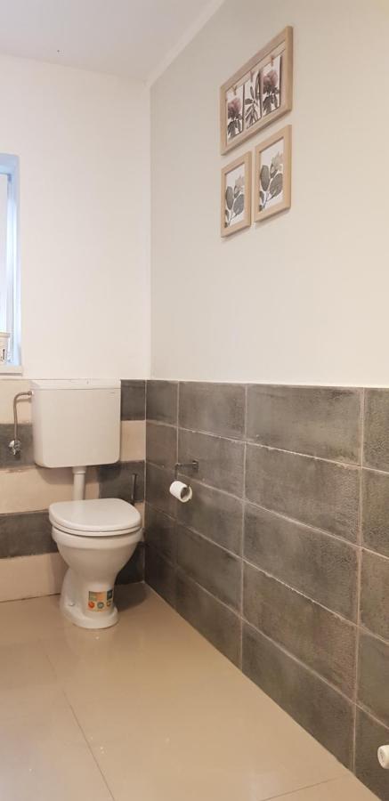 Casa Zorilor Cluj 아파트 외부 사진
